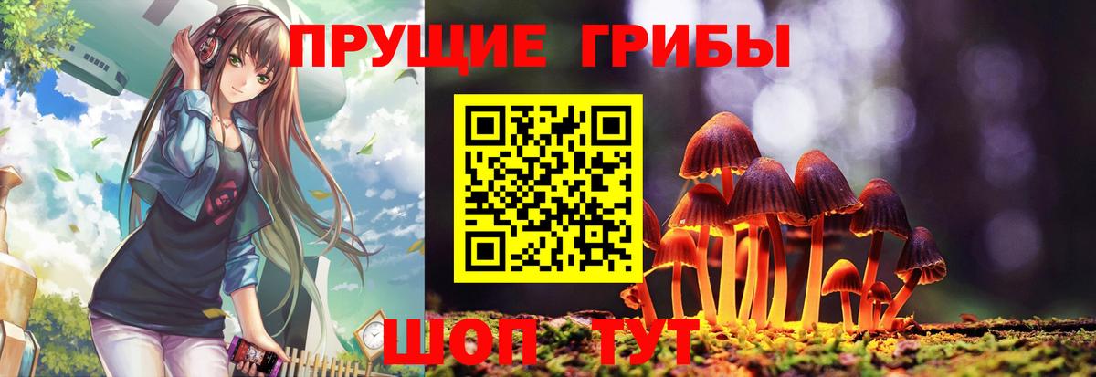 Псилоцибиновые грибы Psilocybine cubensis  Псилоцибиновые грибы GOLDEN TEACHER  Вход с VPN  Семилуки 